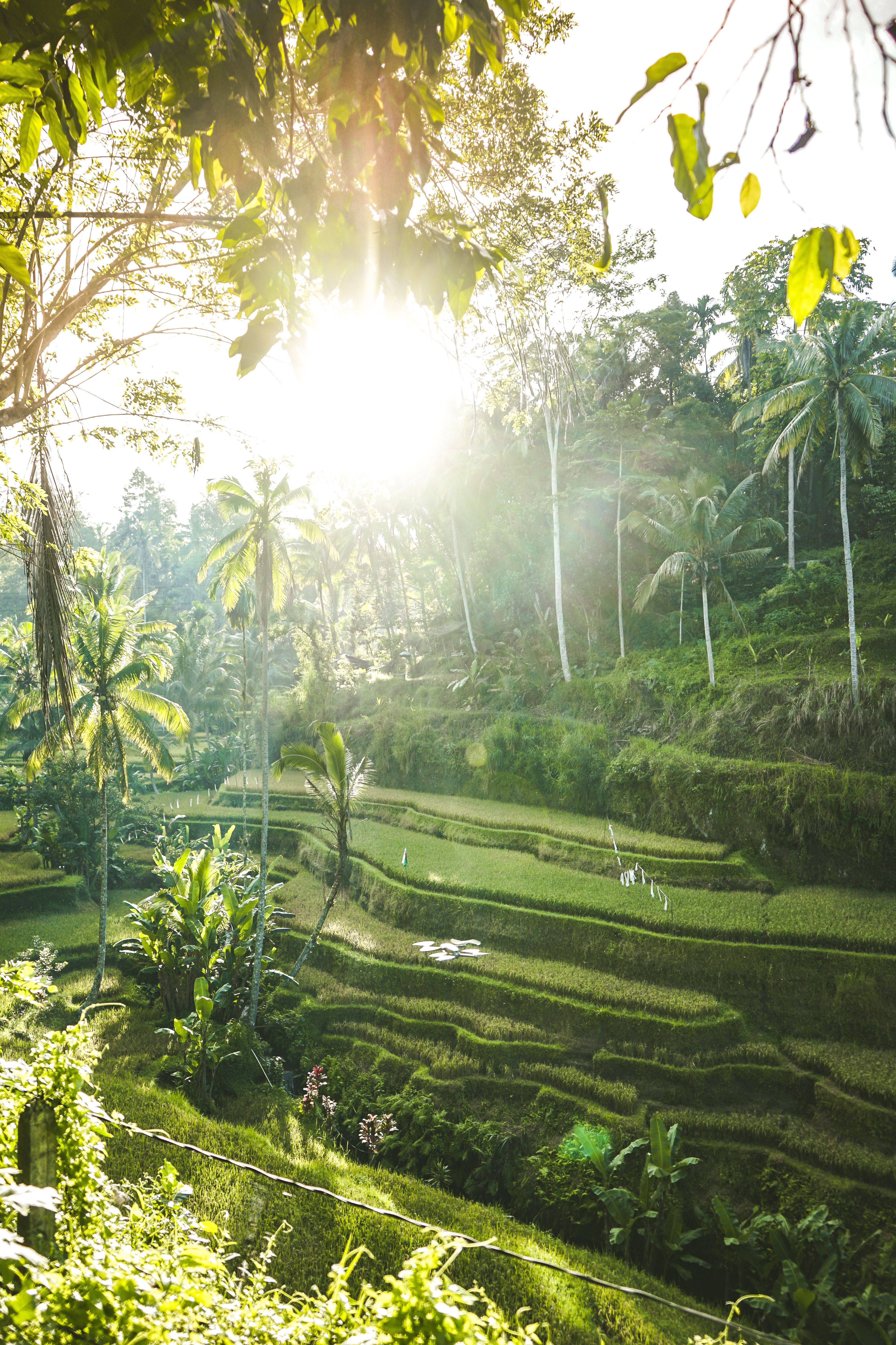 Bali, Indonezia